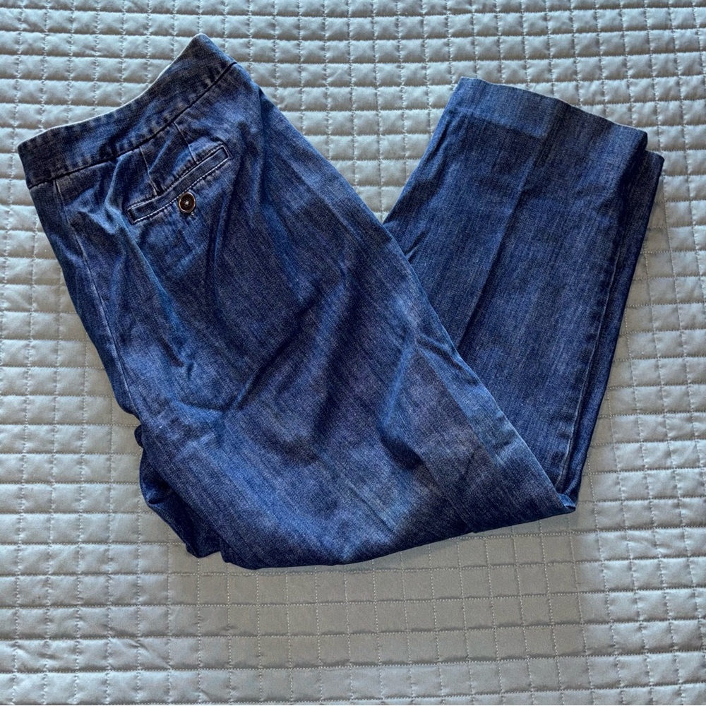 TALBOTS Petites Stretch Womens Jeans Side Zip Size 12 - (L0325A)